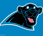 01 - Bagheera - Carolina Panthers