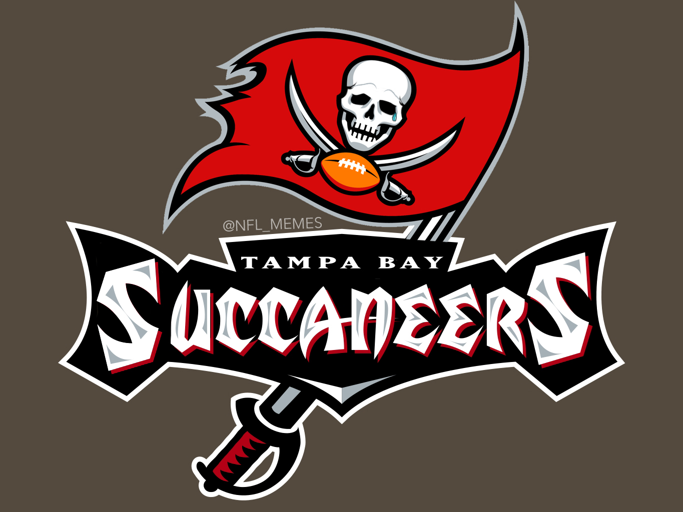 Tampa Bay Releases New Logo - Daily Snark
