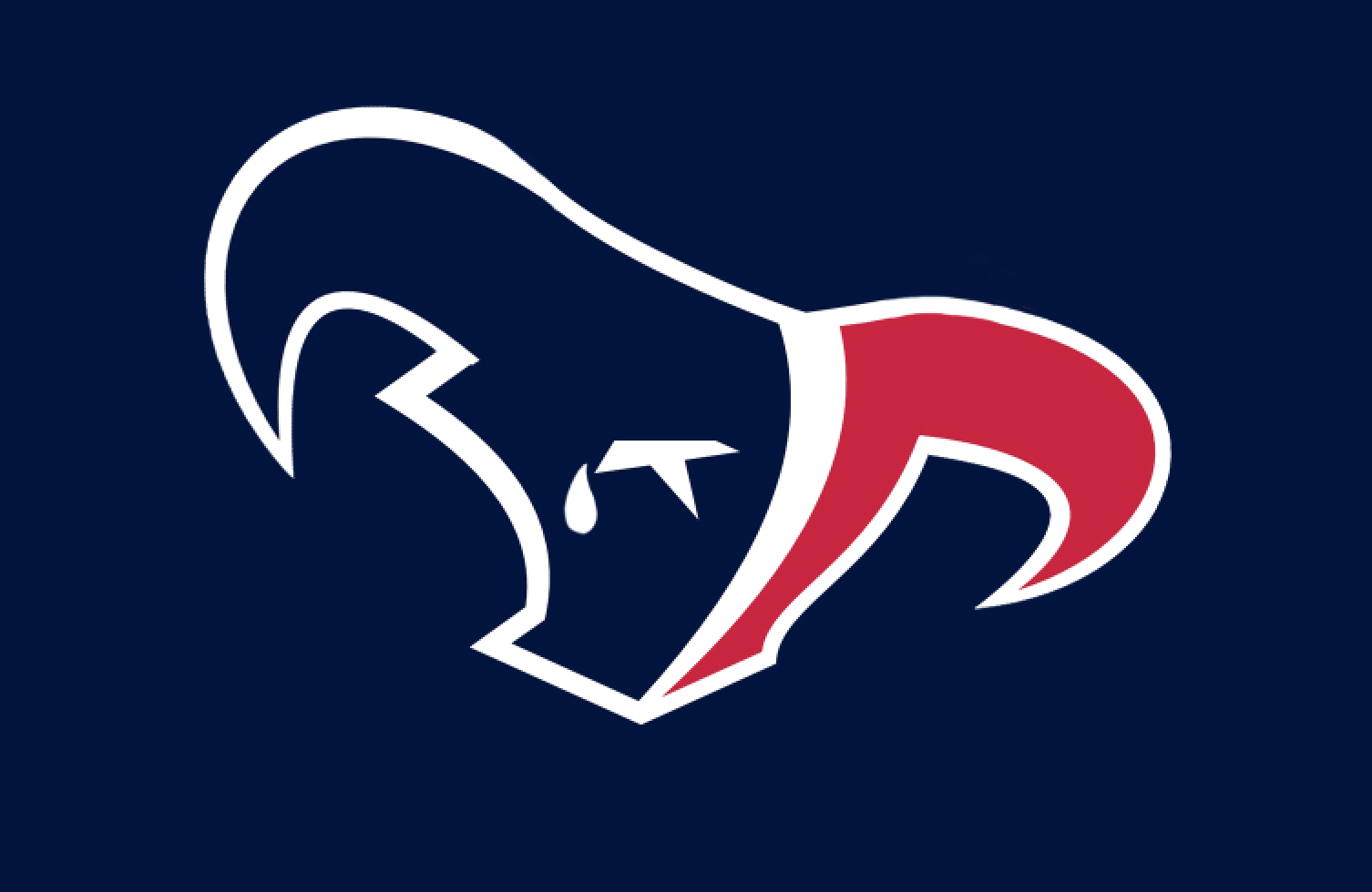 Texans release new logo - Daily Snark
