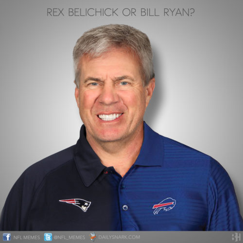 rex:bill