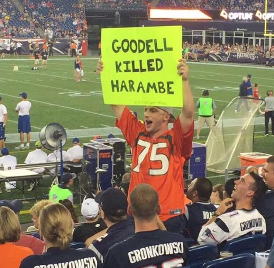 Patriots Fan Holds Up Giant 'Goodell Killed Harambe' Sign At Preseason Game  - Daily Snark