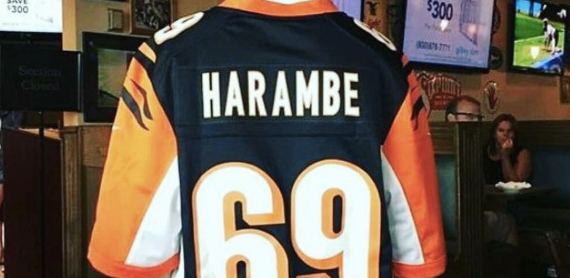 NFL Now Allowing Fans to Waste Money on Custom Harambe Jerseys