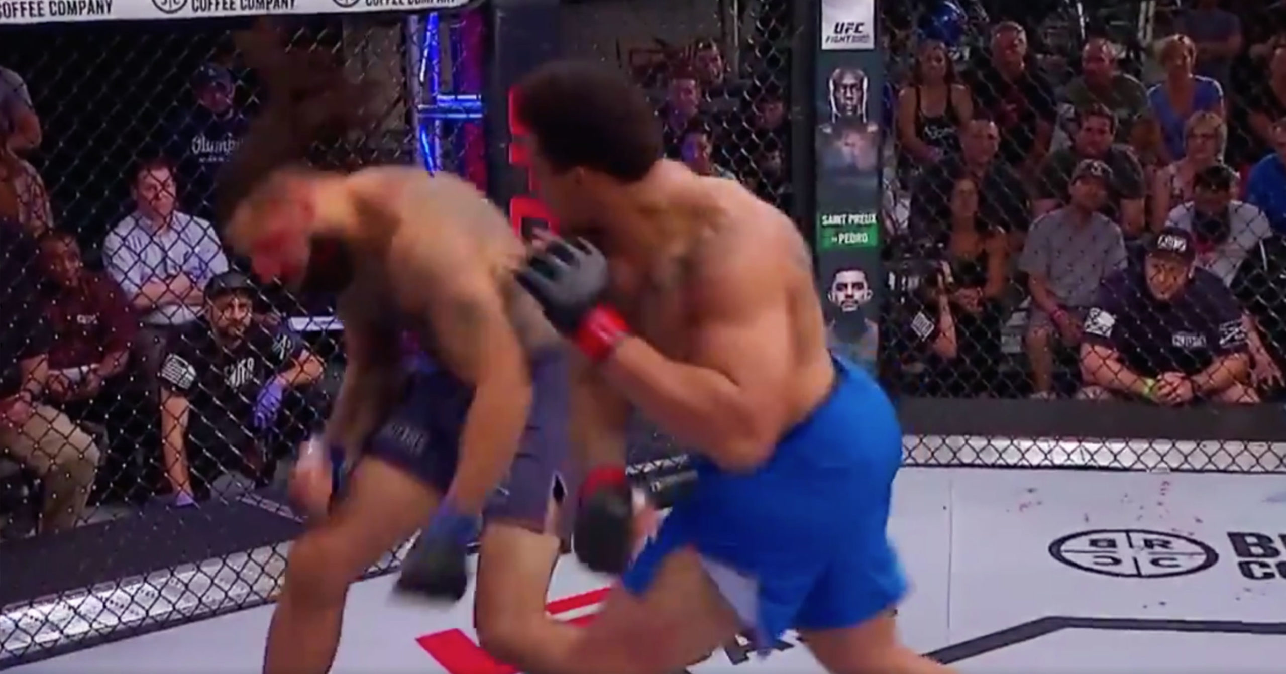 Former NFL Player Greg Hardy Wins UFC Debut In Under A Minute With Brutal Knockout (VIDEO)