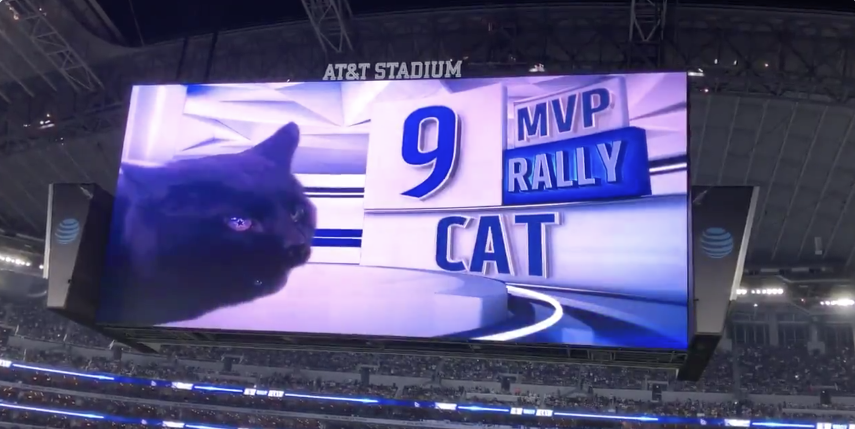Dallas Cowboys Make Black Cat a Starter