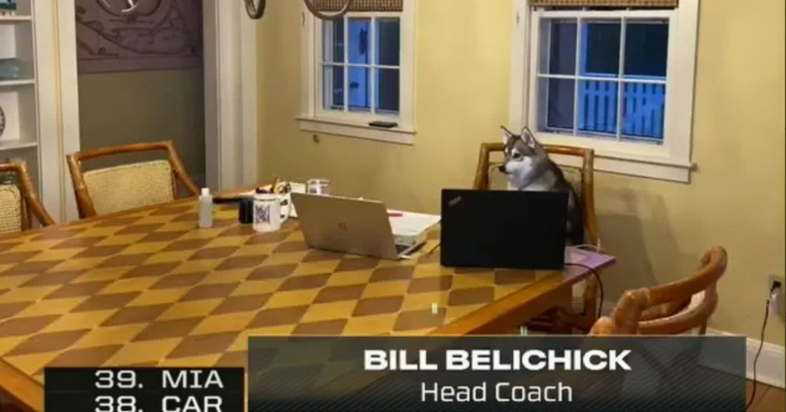 Bill Belichick Gives Dog Treat After Patriots Draft Pick