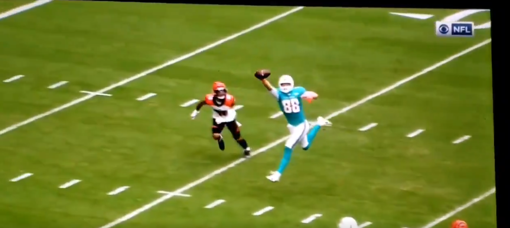 Watch the Magic of Miami Dolphins' Mike Gesicki's One-Hand Grabs