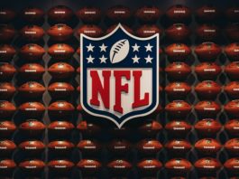 Your Official 2016-2017 Projected NFL Standings - Daily Snark