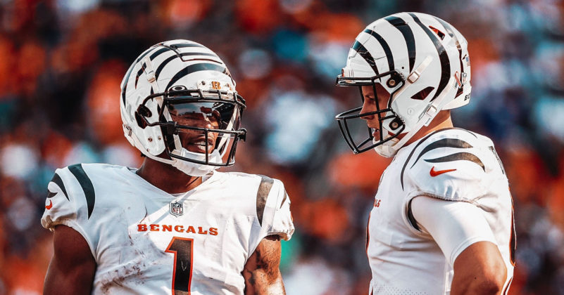 After Popular Demand, Cincinnati Bengals Unveil 'White Bengal' Helmets ...