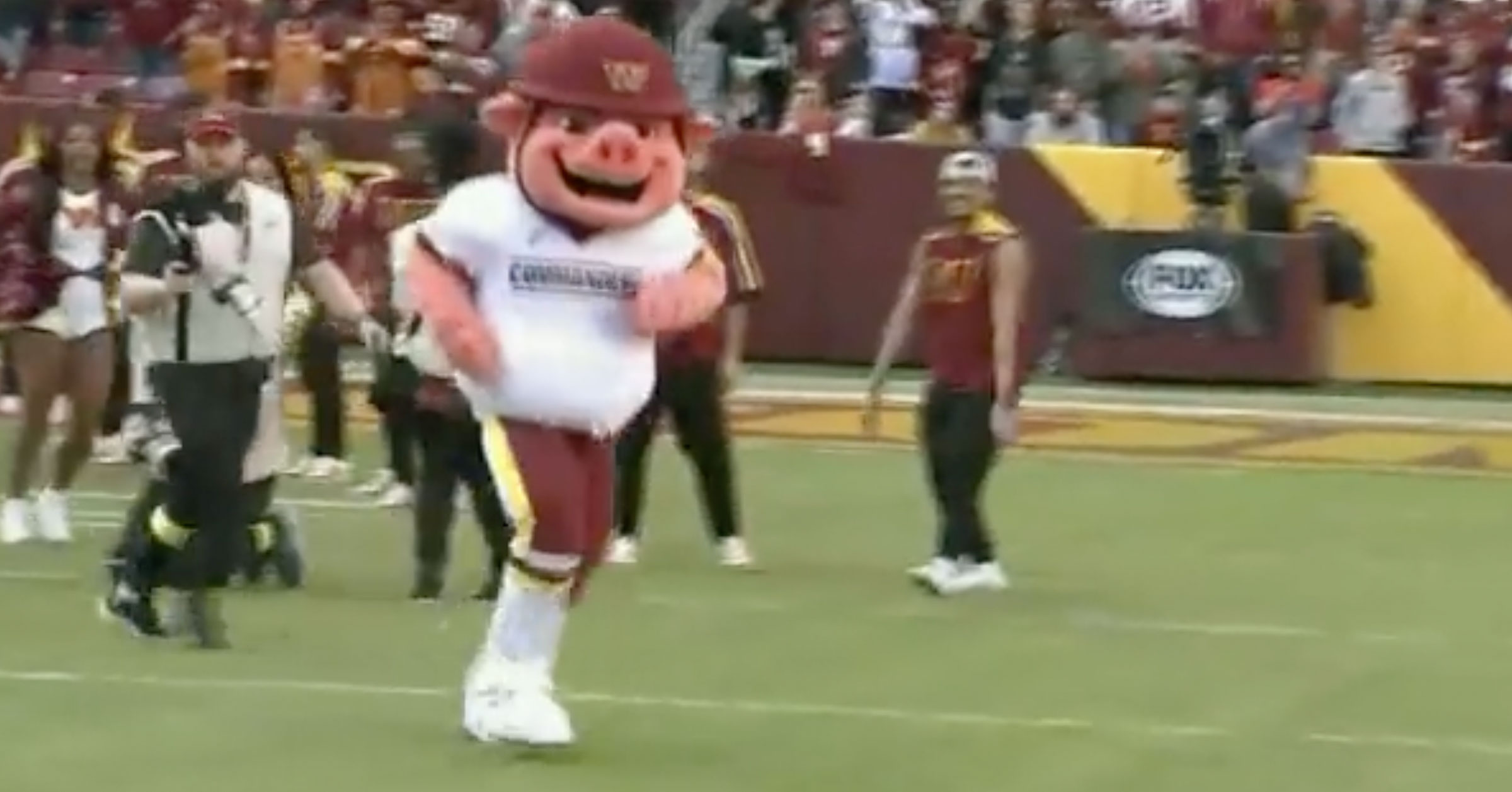 Washington Commanders Unveil Their New Mascot 'Major Tuddy', And It's