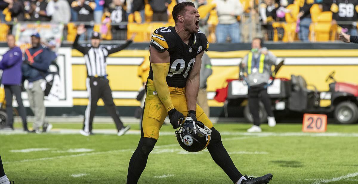 T.J. Watt